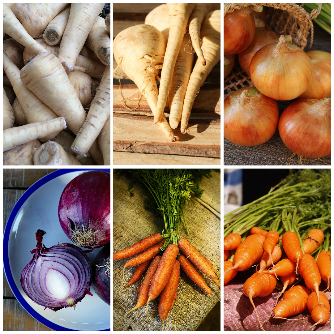 Parsnip, Onion & Carrot Vegetable Seeds for Roasts & Stews
