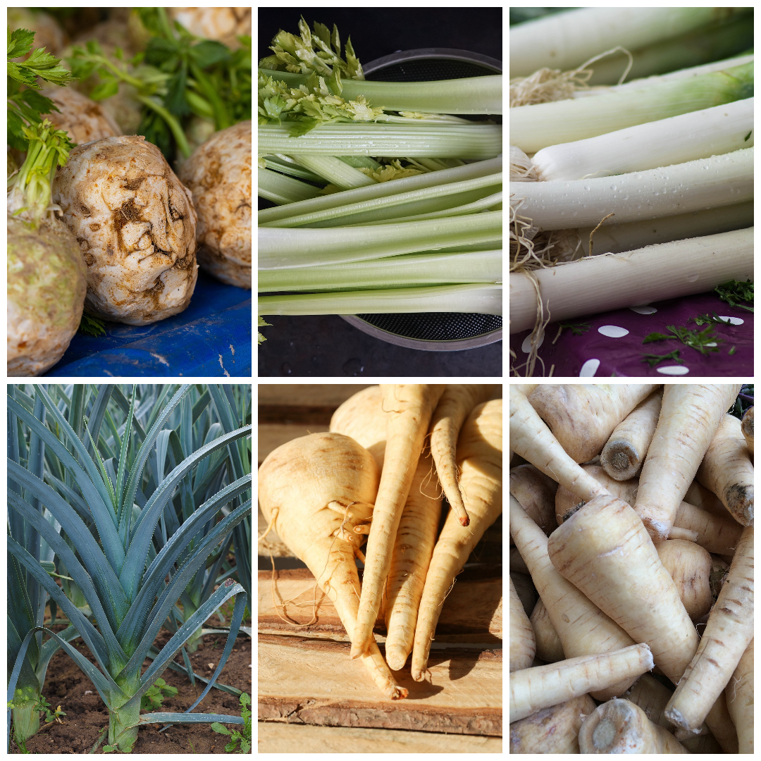 Leek, Celery & Parsnip Vegetable Seeds - Classic Vegetable Trio