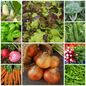 Everyday Vegetable Seeds Budget-Friendly Garden Set - Selection 2 - 10 Packs