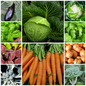 Everyday Vegetable Seeds Budget-Friendly Garden Set - Selection 8 - 10 Packs