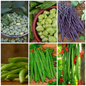 French Bean, Pea & Runner Bean Vegetable Seeds - Bean Lovers' Set