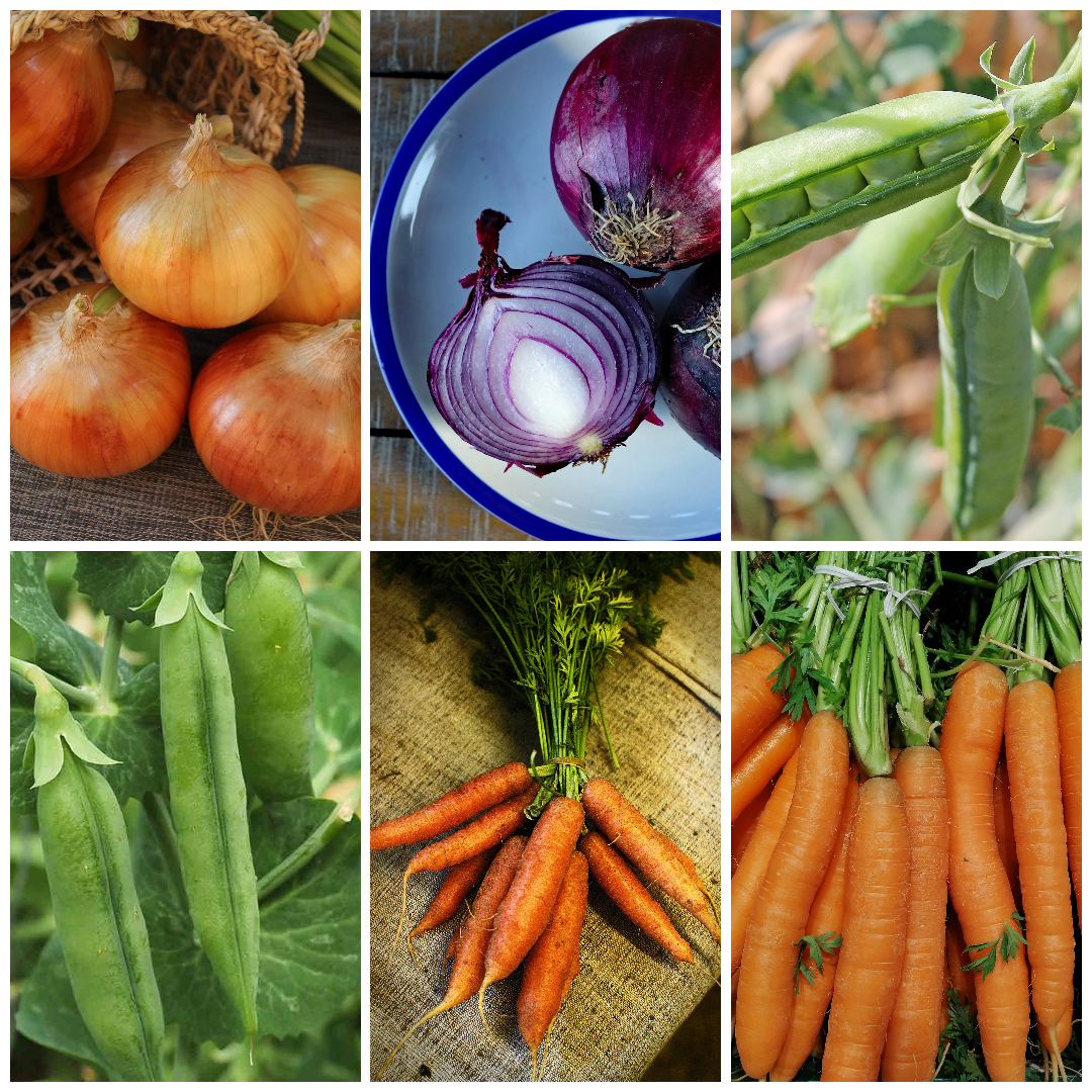 Carrot, Onion & Pea Vegetable Seeds - Grow Your Own Root & Pod Veg