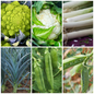 Cauliflower, Pea & Leek Vegetable Seeds - Full-Flavour Garden Variety