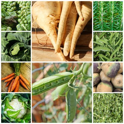 Christmas Dinner Seed Collection – Grow the Ingredients for Your Traditional Christmas Feast!