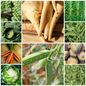 Christmas Dinner Seed Collection – Grow the Ingredients for Your Traditional Christmas Feast!