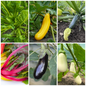 Courgette, Aubergine & Chard Vegetable Seeds - Colourful Summer Veg Mix