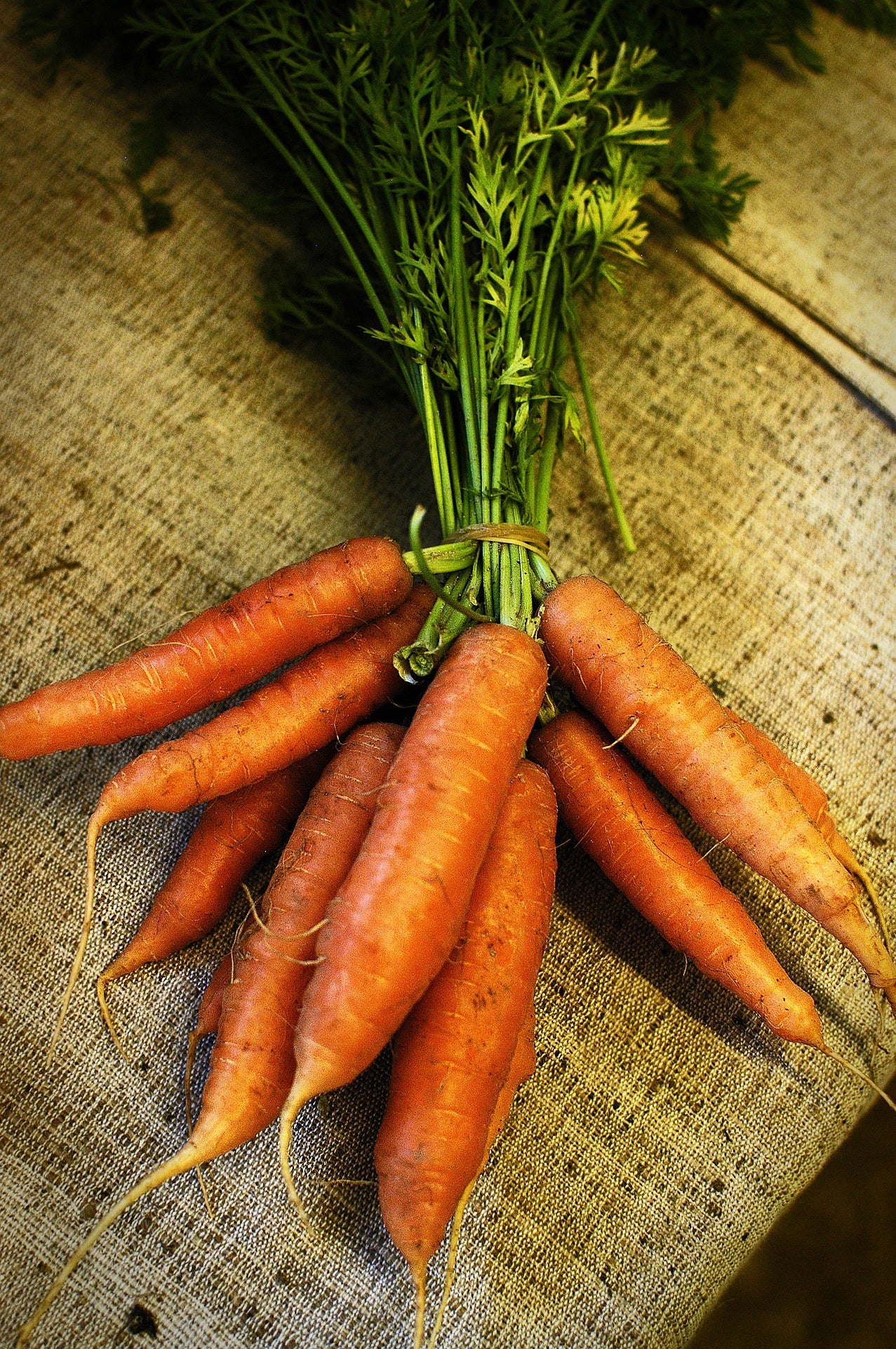 Christmas Dinner Seed Collection – Grow the Ingredients for Your Traditional Christmas Feast!