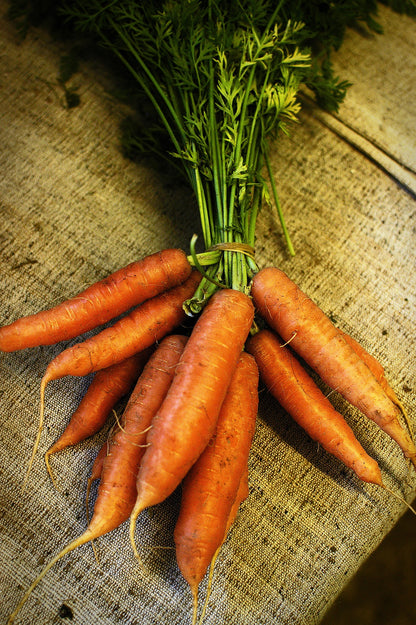 Christmas Dinner Seed Collection – Grow the Ingredients for Your Traditional Christmas Feast!