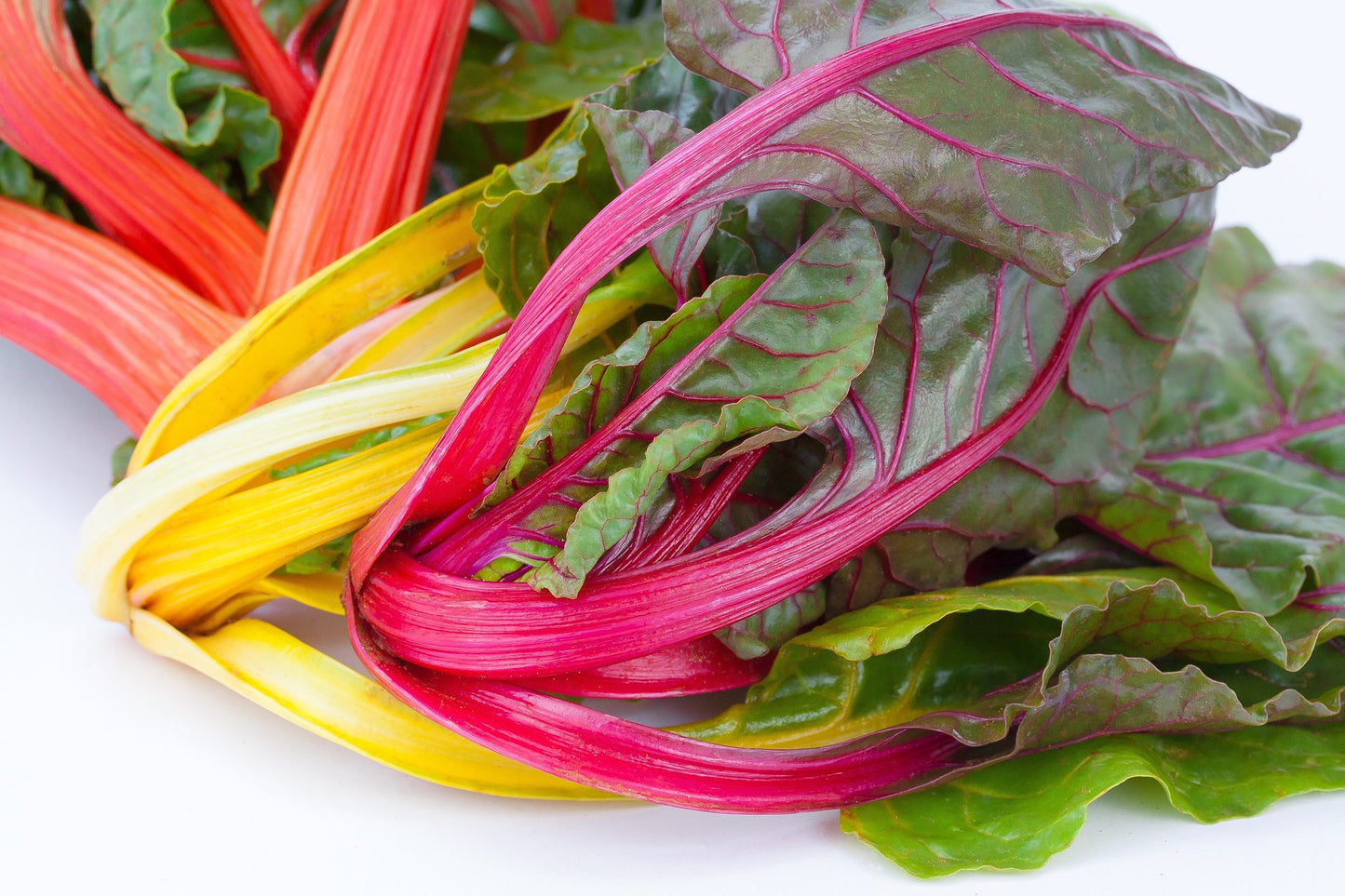Eat The Rainbow Vegetable Seed Collection – Colourful, Nutritious Harvest!