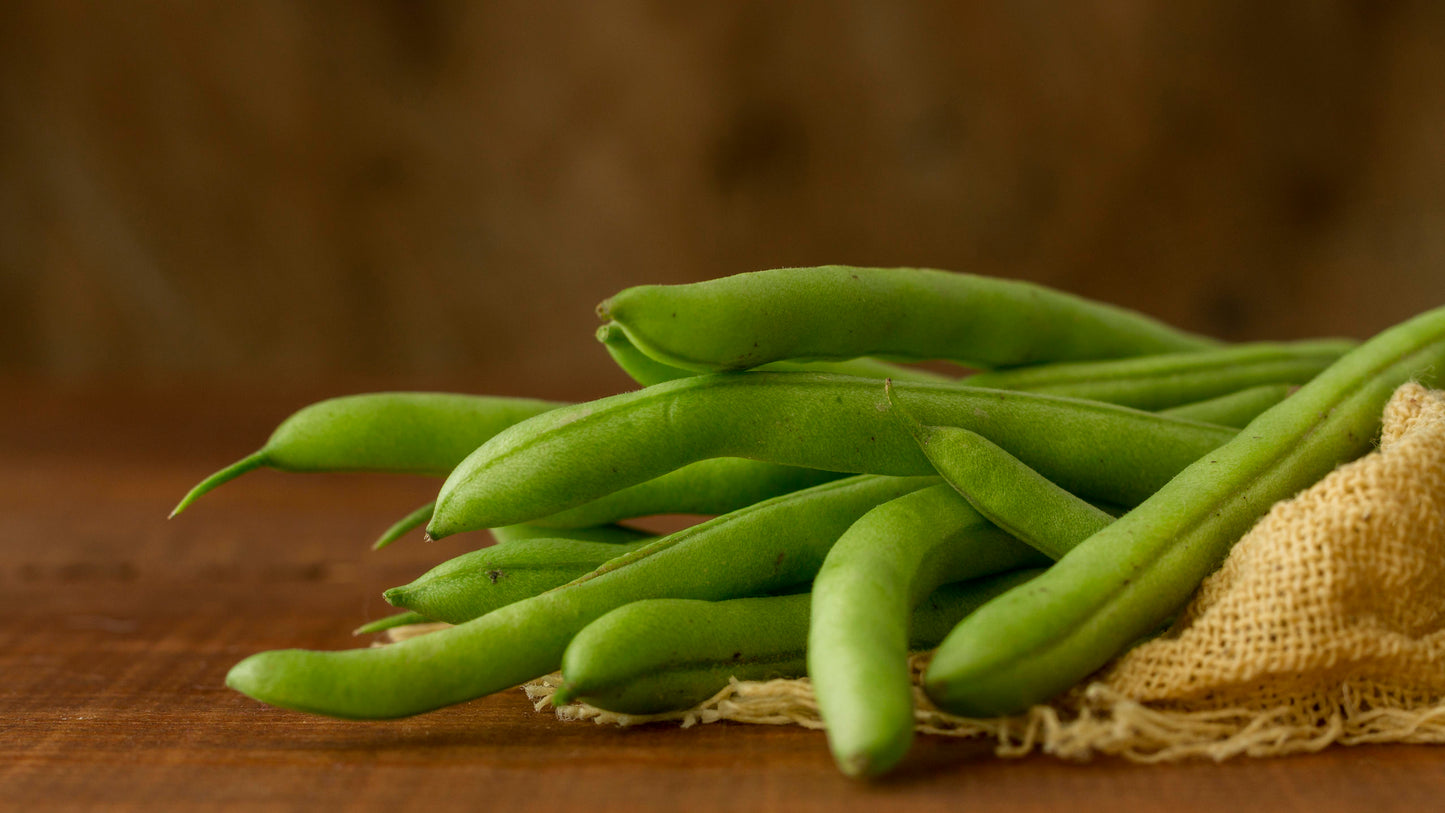 Beans Seed Collection – Freshly Grown Beans for the Home Garden