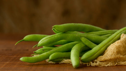 Beans Seed Collection – Freshly Grown Beans for the Home Garden