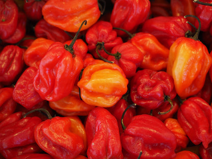 Chilli and Sweet Peppers Seed Collection – Add Heat and Sweetness to Your Garden!