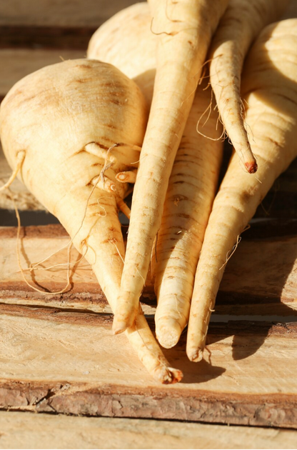 Autumn Harvest Vegetable Seed Collection – Curated Seasonal Selection for Gourmet Gardens