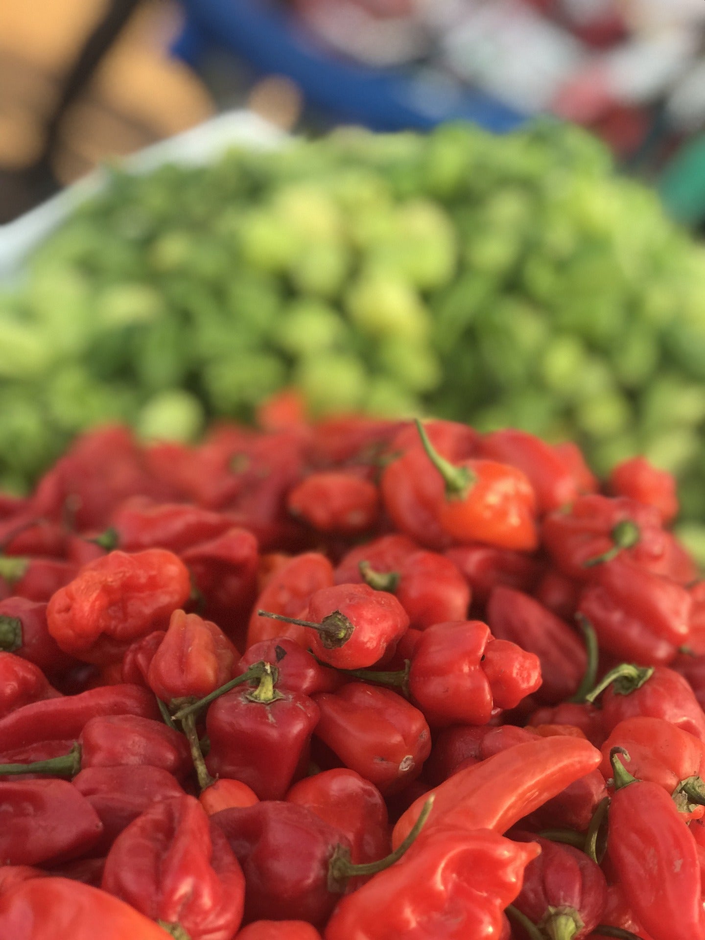 Chilli and Sweet Peppers Seed Collection – Add Heat and Sweetness to Your Garden!