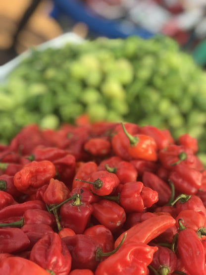 Chilli and Sweet Peppers Seed Collection – Add Heat and Sweetness to Your Garden!