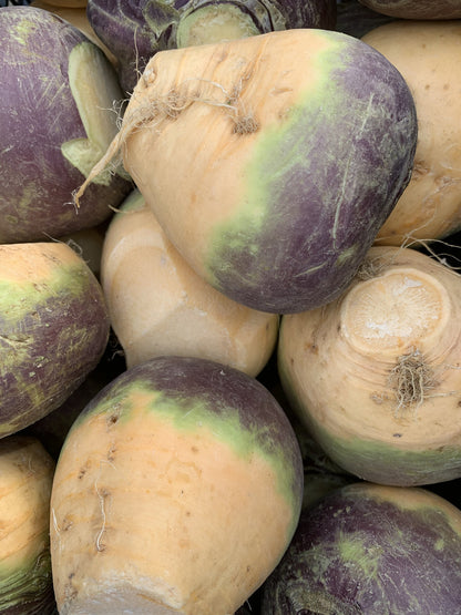 Autumn Harvest Vegetable Seed Collection – Curated Seasonal Selection for Gourmet Gardens