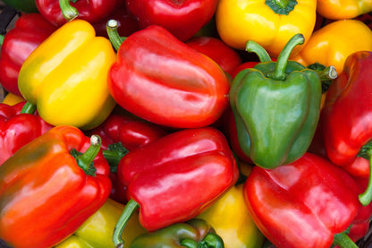 BBQ Vegetable Seed Collection – Premium Varieties for Grilling and Outdoor Feasts