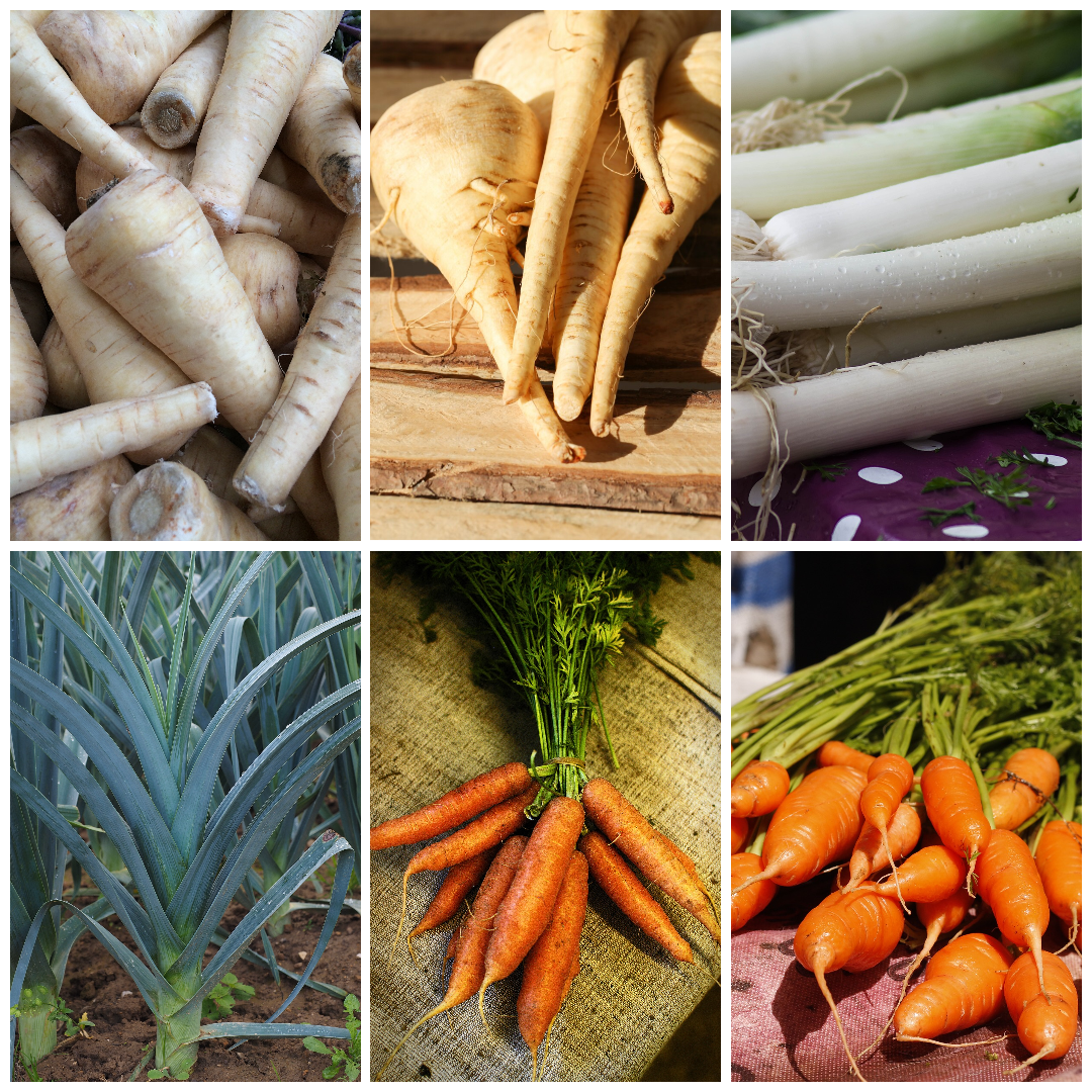 Leek, Carrot & Parsnip Vegetable Seeds - Traditional Winter Root Veg
