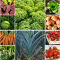 Family Favourites Vegetable Seeds Budget-Friendly Garden Set - 10 Packs