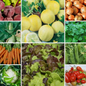 Heirloom Vegetable Seeds - Essential Collection - 10 Packs - Set 3