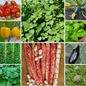 Italian Kitchen Vegetable Seeds - Grow Your Own Mediterranean Flavours - 10 Pack