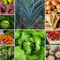 Kitchen Garden Essentials Vegetable Seeds Affordable Set - 10 Packs