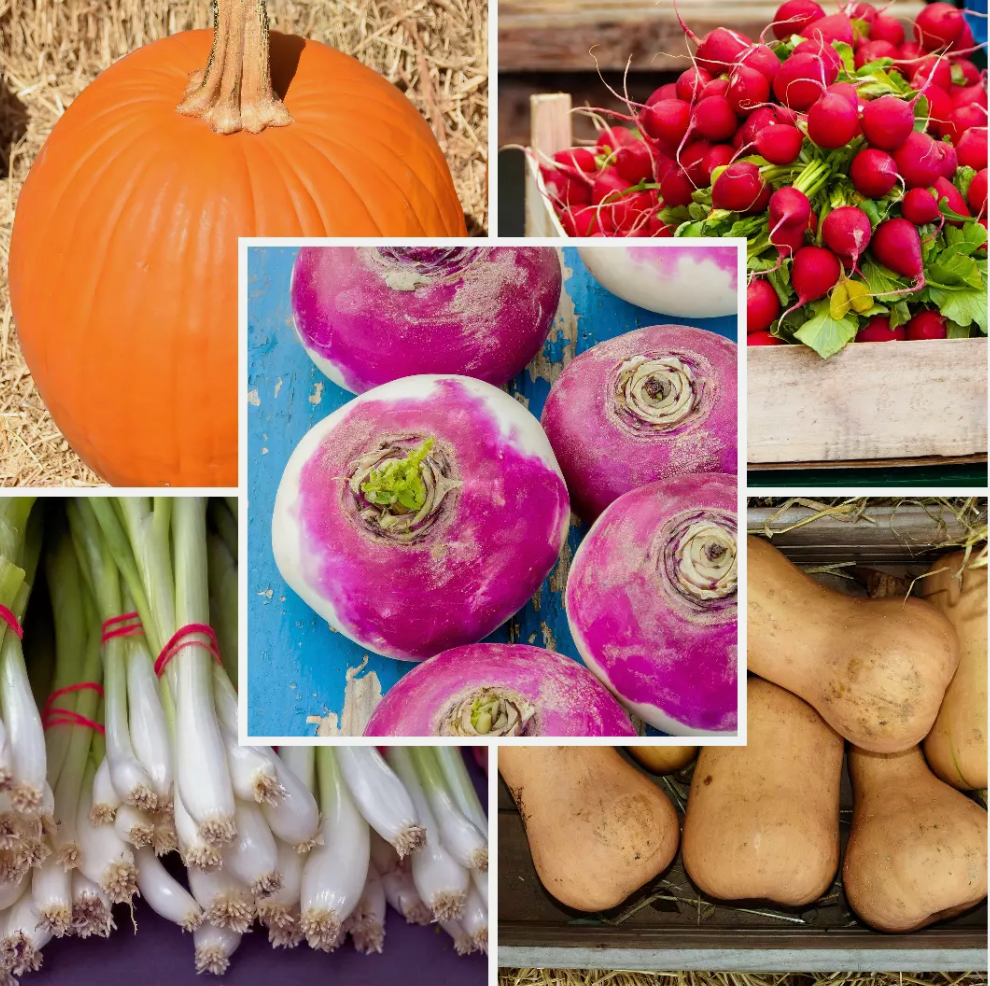 Large Vegetable Seed Collection 25 Packets Perfect for Home Garden - Set 2