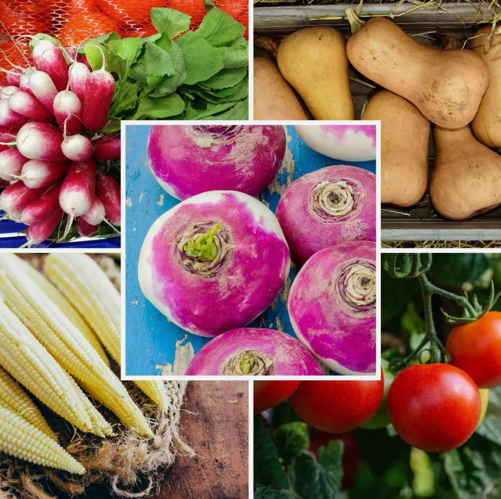 Large Vegetable Seed Collection 25 Packets Perfect for Home Garden - Set 3