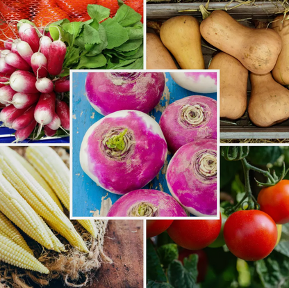 Large Vegetable Seed Collection 25 Packets Perfect for Home Garden - Set 3