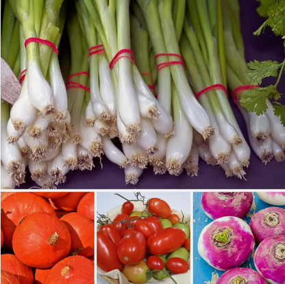 Large Vegetable Seed Collection 25 Packets Perfect for Home Garden - Set 4