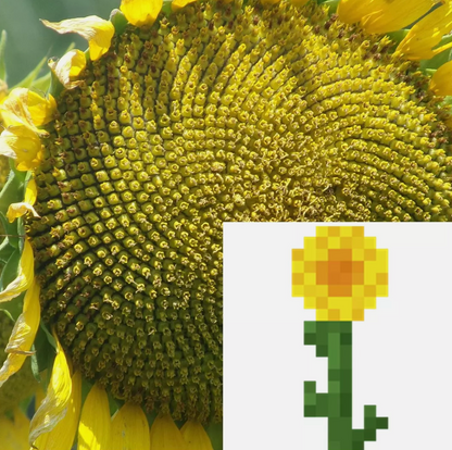 Minecraft Theme Vegetable Seeds Collection - Grow Your Own Crops & Fruits!