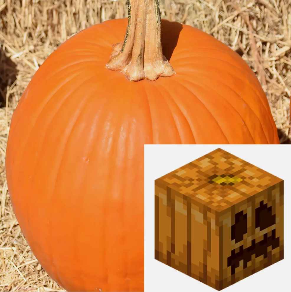 Minecraft Theme Vegetable Seeds Collection - Grow Your Own Crops & Fruits!