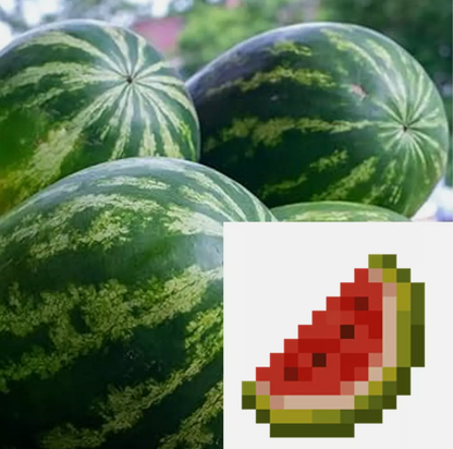 Minecraft Theme Vegetable Seeds Collection - Grow Your Own Crops & Fruits!