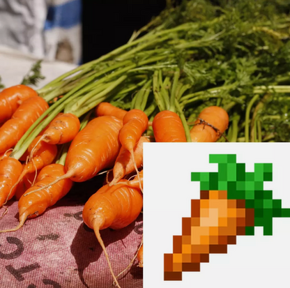 Minecraft Theme Vegetable Seeds Collection - Grow Your Own Crops & Fruits!