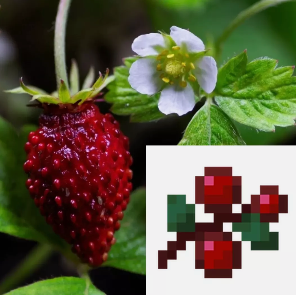 Minecraft Theme Vegetable Seeds Collection - Grow Your Own Crops & Fruits!