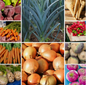 Root Veg Bonanza Vegetable Seeds Affordable Growing Set - 10 Packs