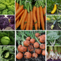 Stir-Fry Selection Vegetable Seeds - Quick & Easy Cooking Veg Collection-10 Pack