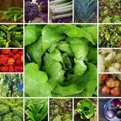 Ultimate Vegetable Seed Collection 100 Varieties - Complete Home Garden Pack