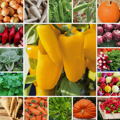 Ultimate Vegetable Seed Collection 100 Varieties - Complete Home Garden Pack