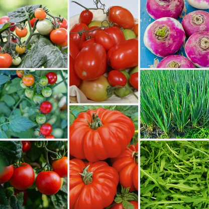Ultimate Vegetable Seed Collection 100 Varieties - Complete Home Garden Pack