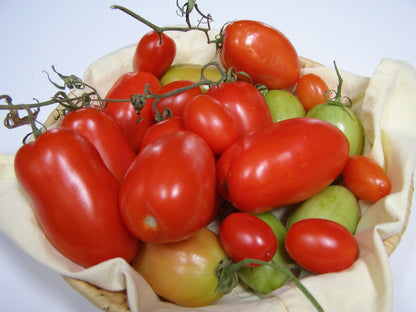 Compact Vegetables for Containers Budget Set – Perfect for Small Spaces - 10 Packs
