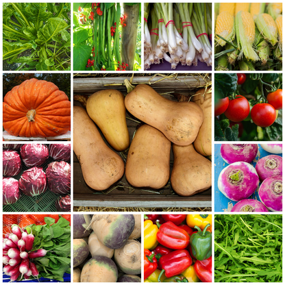 Extra Large Vegetable Seed Collection – 40 Handpicked Varieties for Every Season - Selection 1