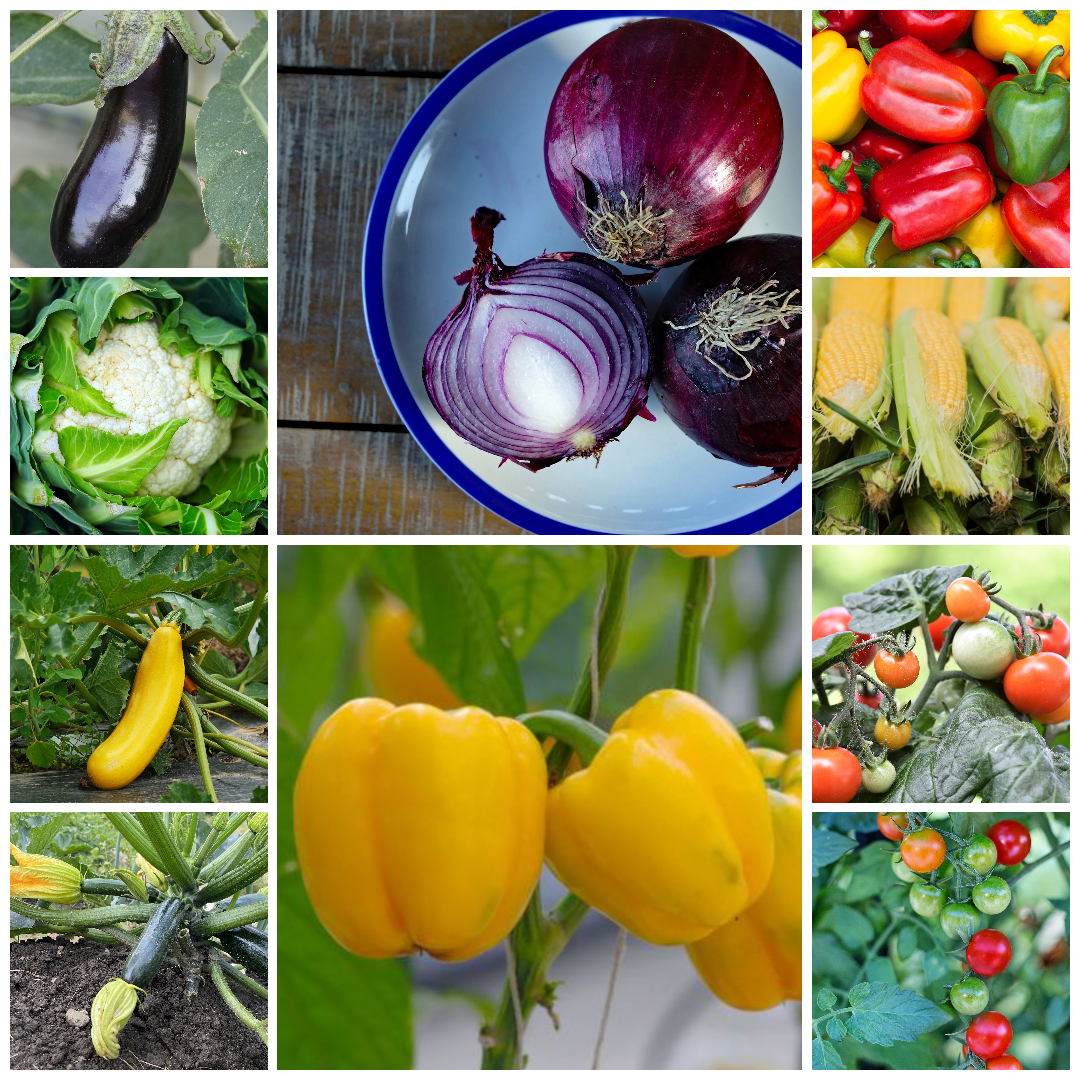 BBQ Vegetable Seed Collection – Premium Varieties for Grilling and Outdoor Feasts