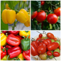 Tomato and Pepper Vegetable Seeds – Fresh for Salsas & Sauces